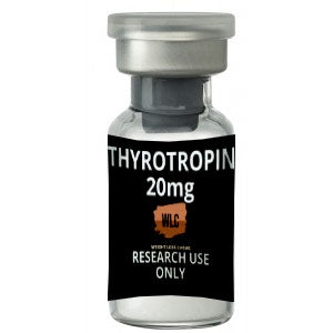 Transform Fatigue into Vitality with Thyrotropin Boosts